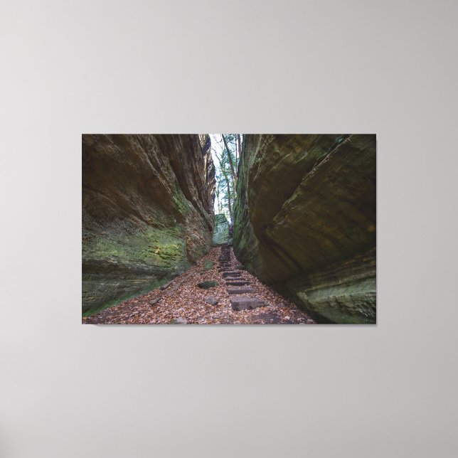 Toile Cantwell Cliffs, Hocking Hills State Park, Ohio (Recto)