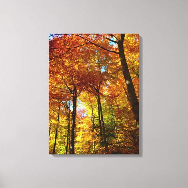 Toile Canvas Arbres d'automne (Recto)