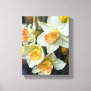 Toile Canvas Art-Daffodils