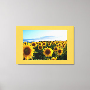 Toile Canvas Art-Tournesols