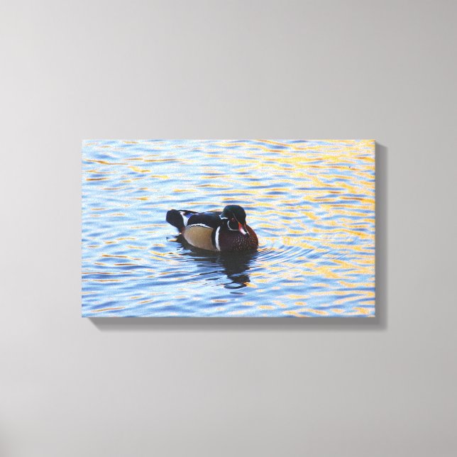 Toile Canvas de canard à bois (Recto)