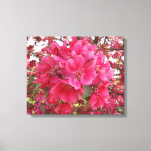 Toile Canvas de fleurs de printemps