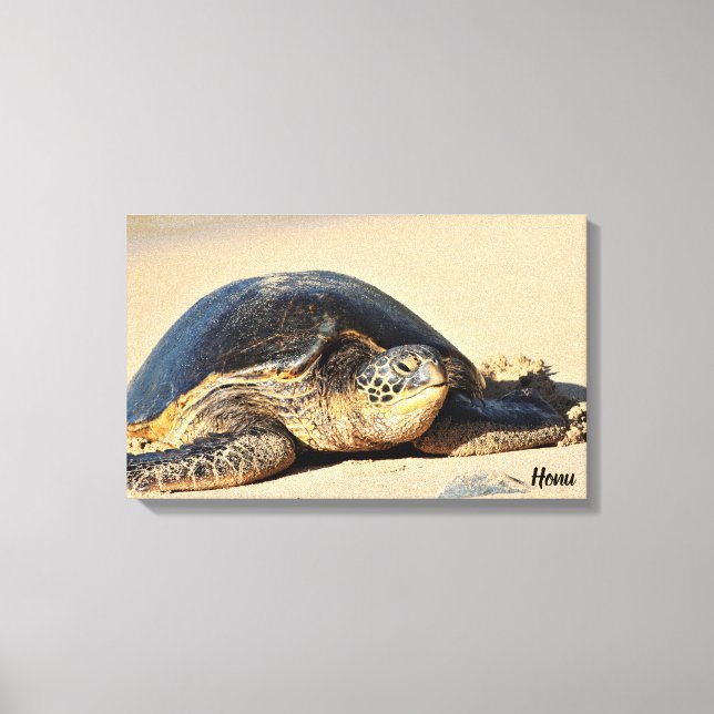 Toile Canvas de tortue de mer d'Hawaï (Recto)