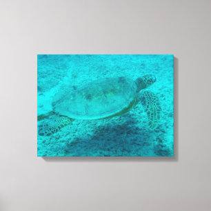 Toile Canvas de tortue verte hawaïenne Imprimer