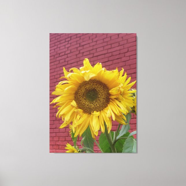 Toile Canvas de tournesol (Recto)