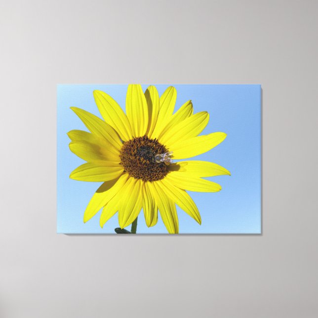 Toile Canvas de tournesol (Recto)