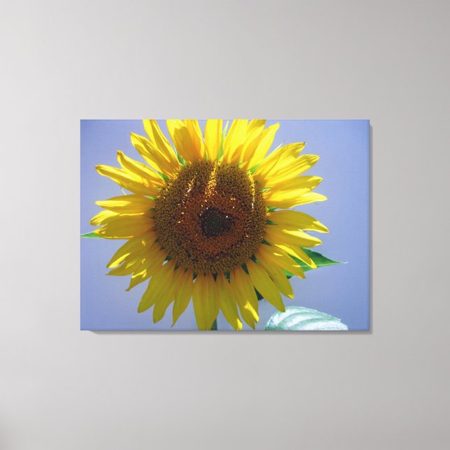 Toile Canvas de tournesol (Recto)