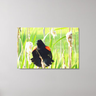Toile Canvas enroulés de la chanson Blackbird de Red Win