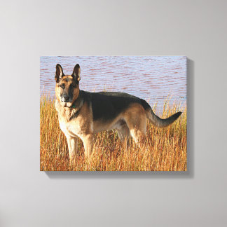 Toile Canvas enveloppé berger allemand Imprimer
