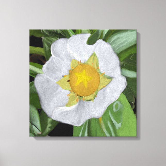 Toile Canvas étirés en fleur de fraise (Recto)