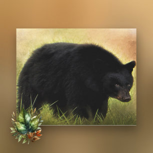 Toile Canvas photo de l'ours noir