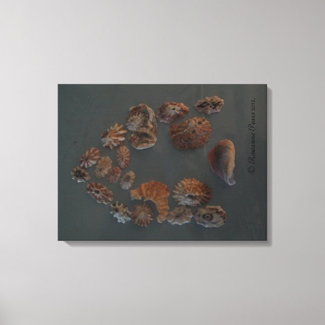 Toile Canvas (SeaShell House) RFPMDesigns ©️ 2012 (Recto)