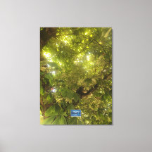 Canvas (Sun Green Tree 1) RFPMDesigns ©️ 2021/24