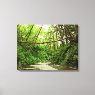 Toile Canyon Fern I au Parc national de Redwood