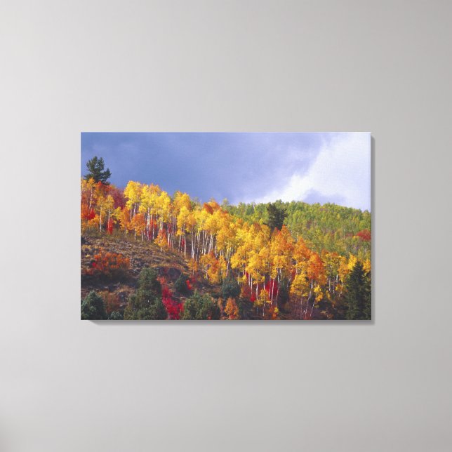Toile Canyon Logan dans l'Utah en automne avec passage (Recto)