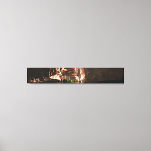 Toile Canyon Panorama