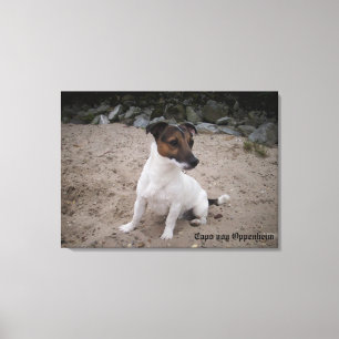Toile Capo von Oppenheim, Jack Russell Terrier, Chien