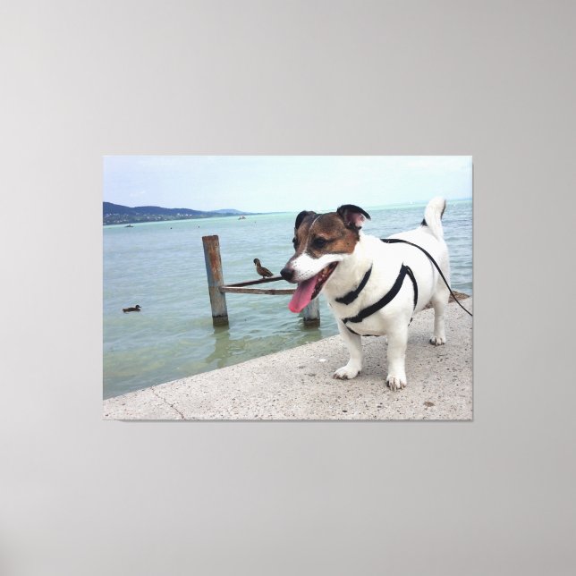 Toile Capo von Oppenheim, Jack Russell Terrier Chien (Recto)