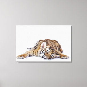 Toile Captif, Afrique du Sud 2