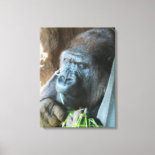 Toile Capuchon de singe ~ Gorille japonais mangeant