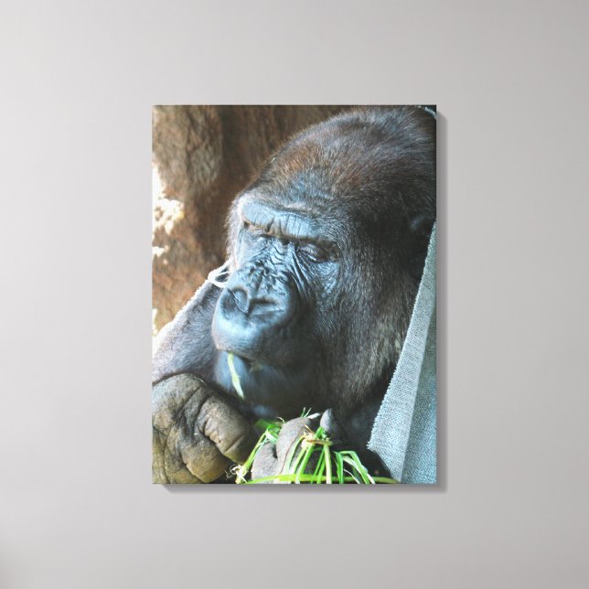 Toile Capuchon de singe ~ Gorille japonais mangeant (Recto)