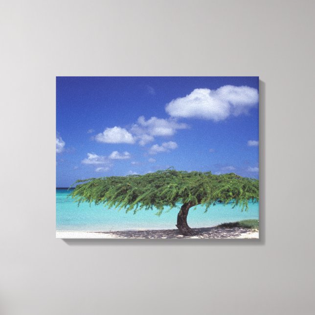 Toile Caraïbes, Aruba. Plage Eagle (Recto)
