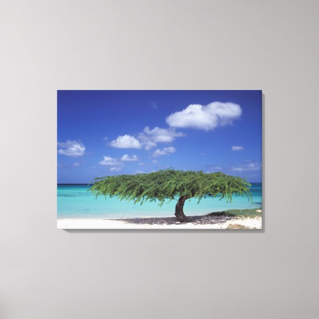 Toile Caraïbes, Aruba. Plage Eagle (Recto)