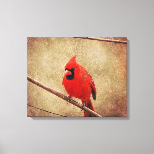 Toile Cardinal (Recto)