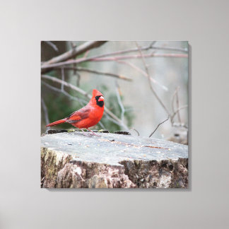 Toile Cardinal du Nord à Woods
