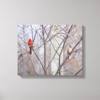 Toile Cardinal family