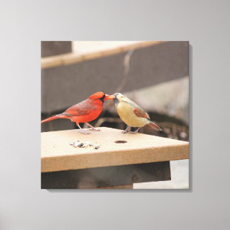 Toile Cardinal Kiss