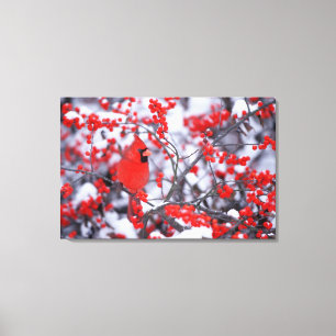 Toile Cardinal rouge mâle, Hiver, IL