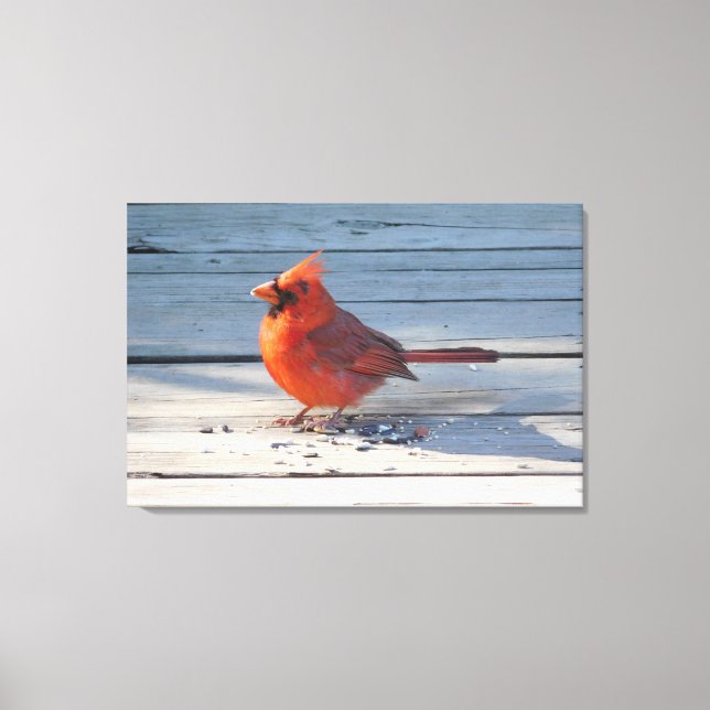 Toile Cardinal rouge sur le pont en bois (Recto)