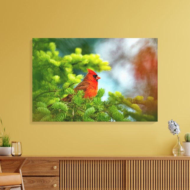 Toile Cardinal Sur Une Branche À feuillage persistant (Insitu(Salon))