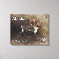 Caribou (rennes) - Postage de l'Alaska
