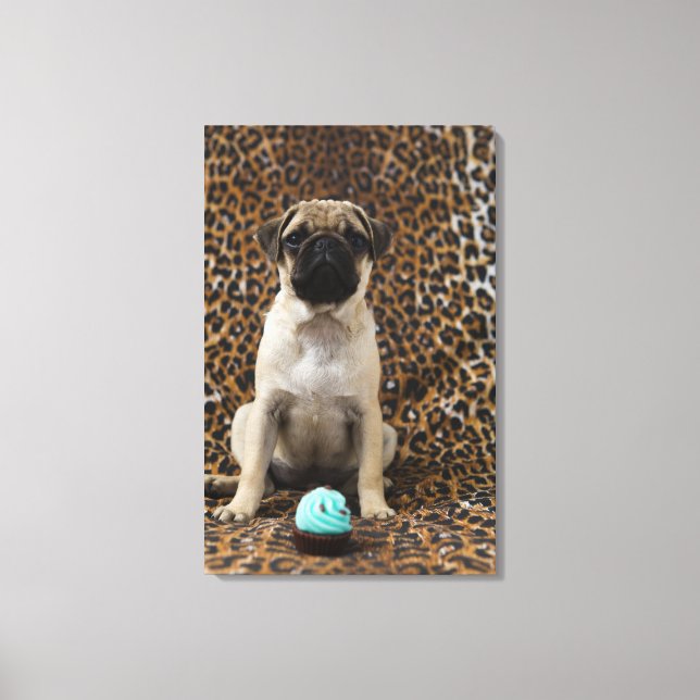 Toile Carlin chiot assis contre poster de animal 2 (Recto)