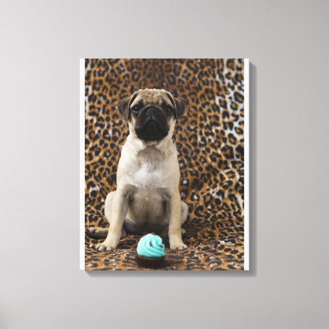 Toile Carlin chiot assis contre poster de animal 2 (Recto)
