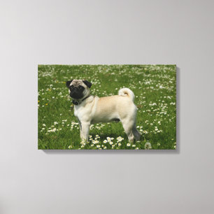 Toile Carlin Jouer dans les fleurs