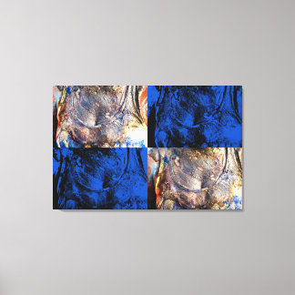 Toile carnivest