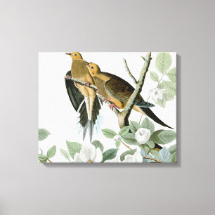 Toile Carolina Pigeon Audubon Morning Dove