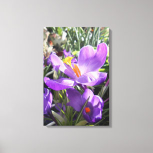 Toile Carré de l'Union, New York City, États-Unis