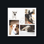 Toile Carré Personnalisé Famille Animaux de compagnie 4<br><div class="desc">Capturez les souvenirs de l'année dans une impression carré personnalisable avec quatre de vos photos d'animaux de compagnie préférées,  nom et année.</div>
