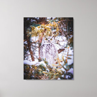 Toile Carte de chouette