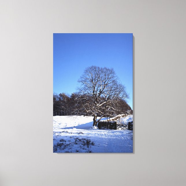 Toile Carte de vacances de Winter Tree Lyme Park (Recto)