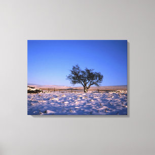 Toile Carte de vacances Hawthorn Tree Winter