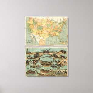 Toile Carte des Etats-Unis d'Amérique 3