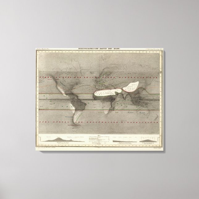 Toile Carte du monde des précipitations (Recto)