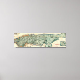 Toile Carte sanitaire et topographique de New York