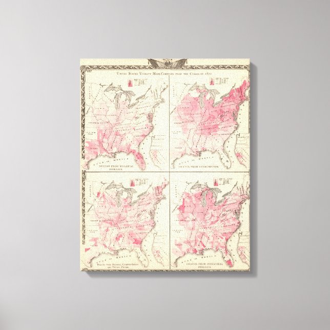 Toile Cartes de vitalité des États-Unis (Recto)