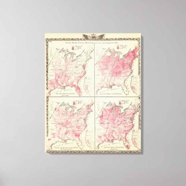 Toile Cartes de vitalité des États-Unis (Recto)